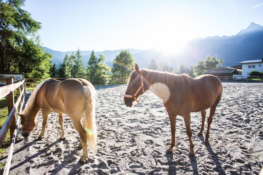 Ferienwohnungen Oetztal Sautens Kültér fotó
