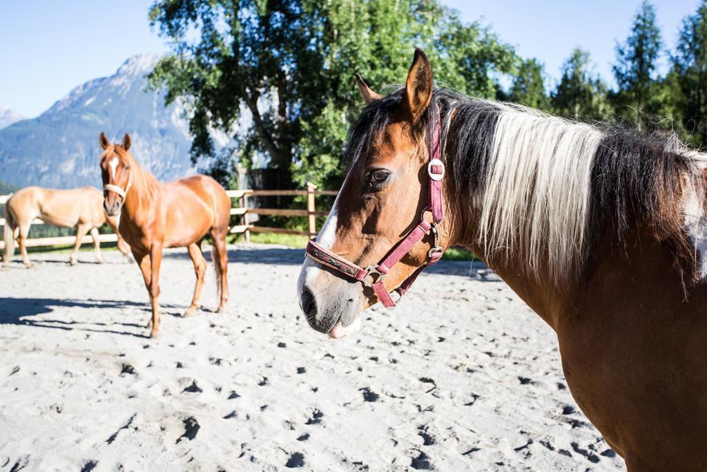 Ferienwohnungen Oetztal Sautens Kültér fotó